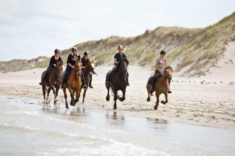 Westcord Strandhotel Seeduyn Vlieland Eksteriør bilde
